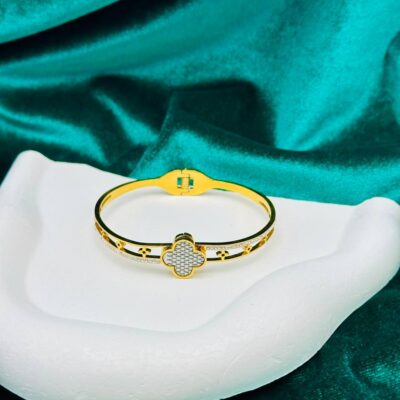 ACIER براسلي اسي