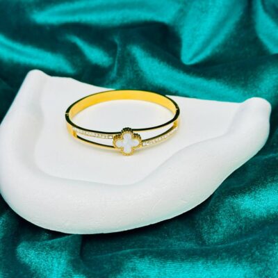 ACIER براسلي اسي